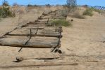 PICTURES/Imperial Sand Dunes - Plank Road/t_P1190401.JPG